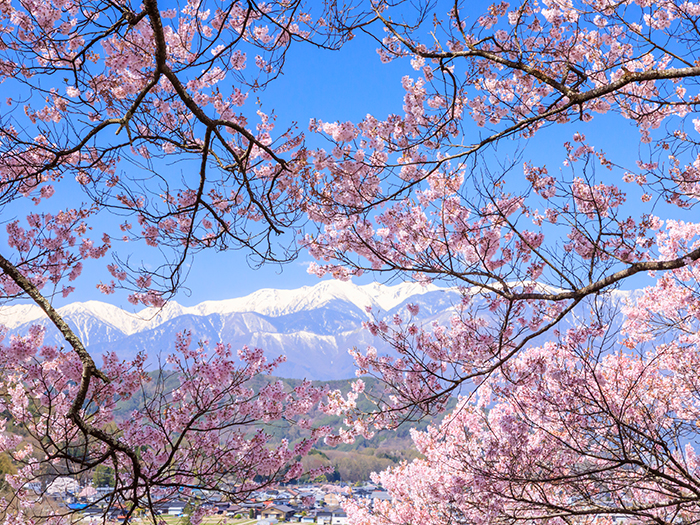 高遠城址公園（伊那市高遠町）